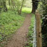 Queensdown warren path