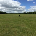 Capstone Country Park - Events Field
