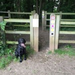 Capstone Country Park - Sign Post in the woods