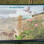 darland banks info board
