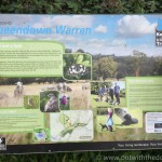 Queendown Warren information board