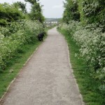 Riverside Country Park Footpath