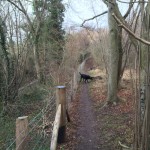Queendown-Warren-Field5-fence-path