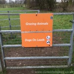 Queendown Warren - Cattle Grazing Sign