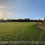Lullingstone Country Park: View towards top of main field