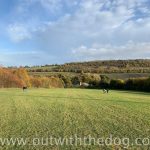 Lullingstone Country Park: View towards car park