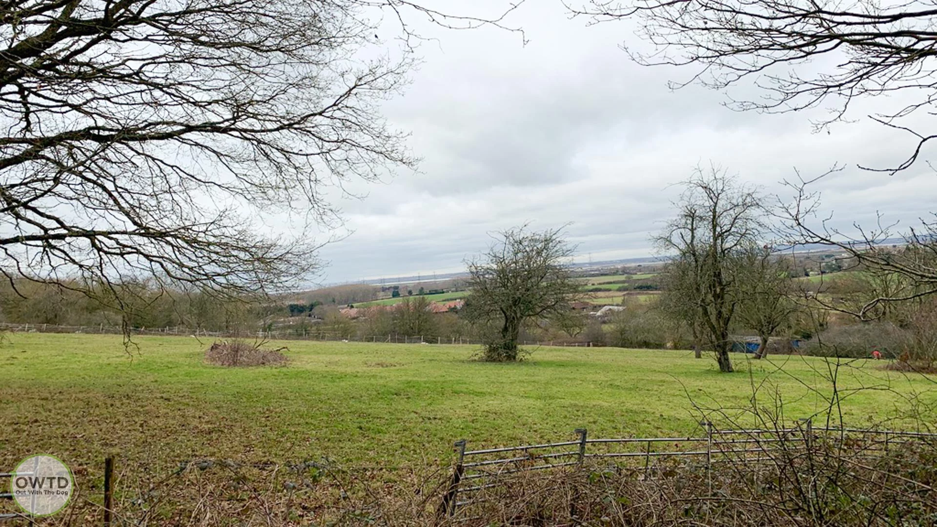 Chattenden Woods