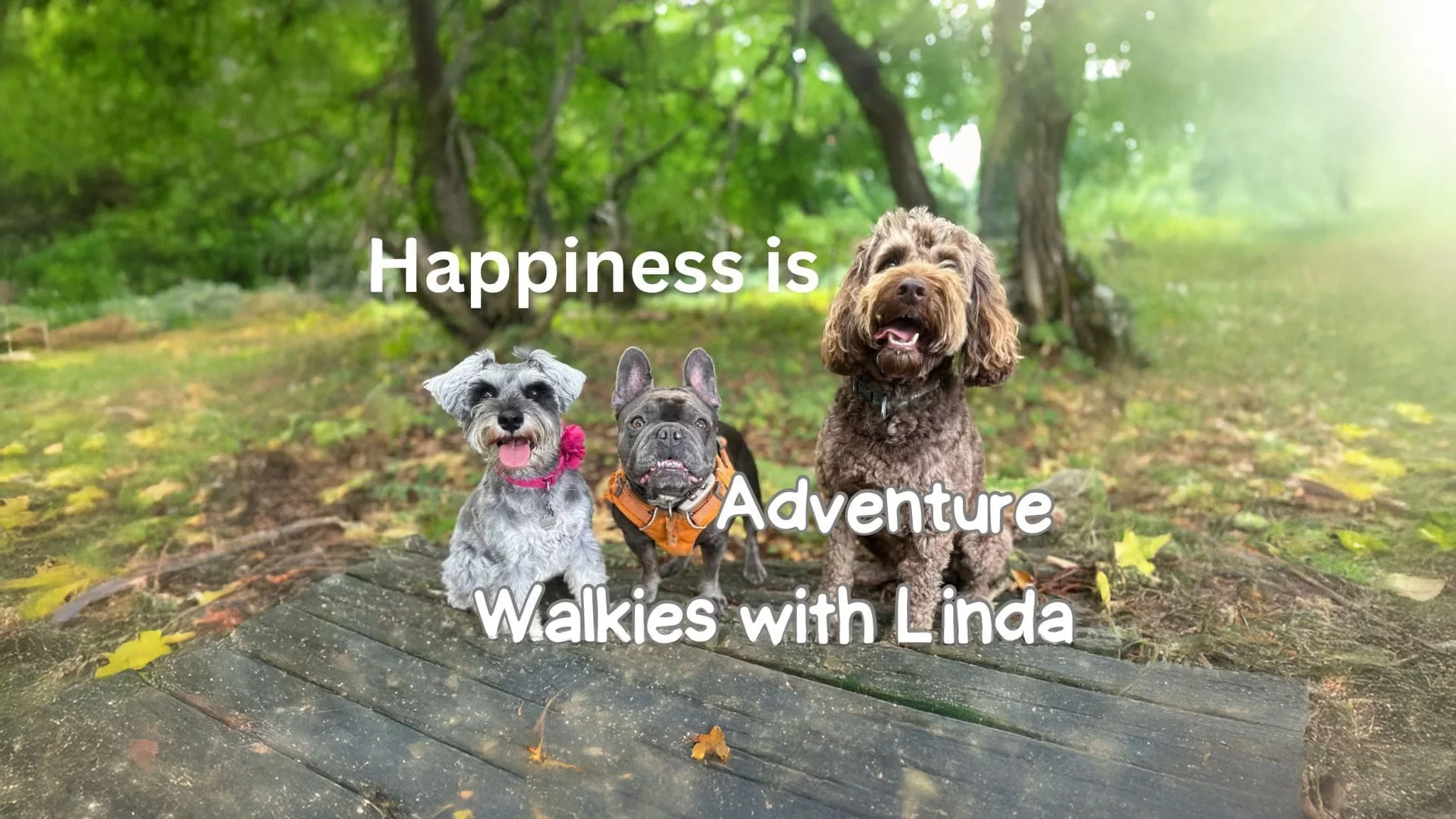 Walkies With Linda