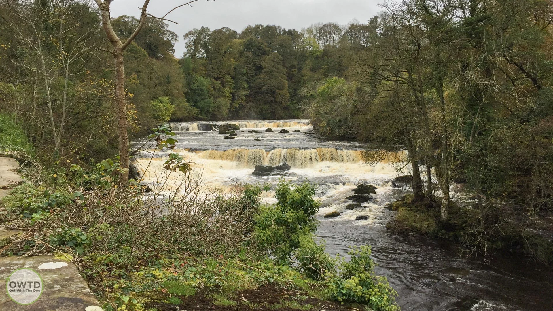 View of Aysgarth Falls