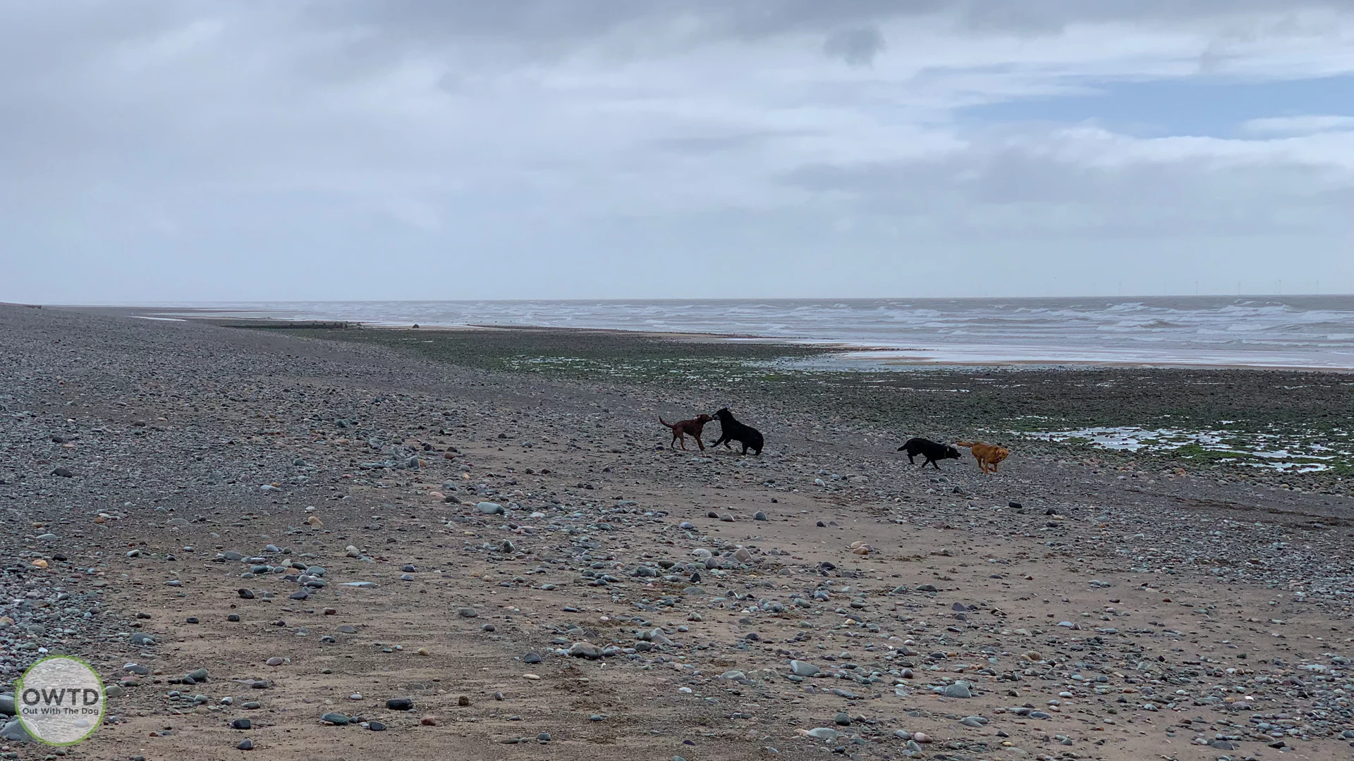 Biggar Bank Beach Walney Island Cumbria