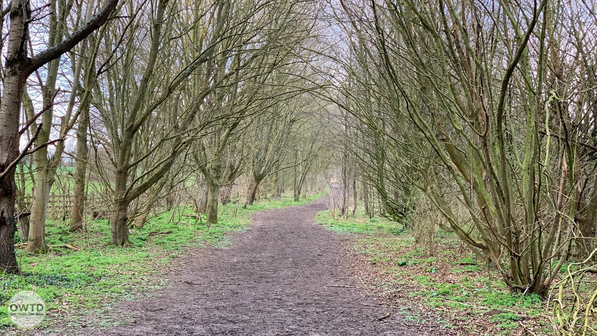 Camer Park