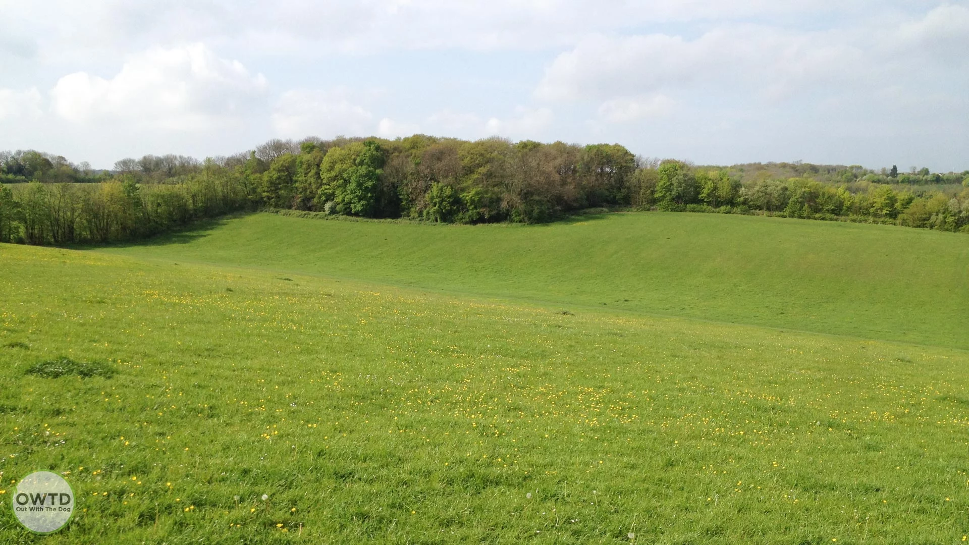 Capstone Country Park