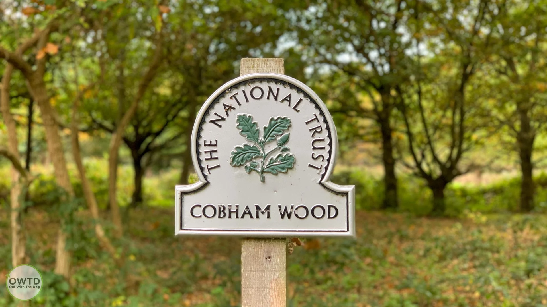 Cobham Woods