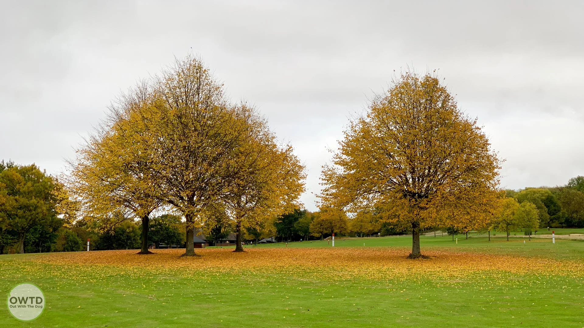 Default walk marker Autumn