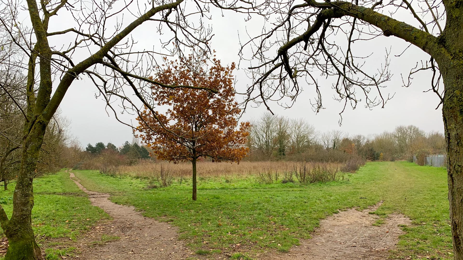 Ditton Quarry