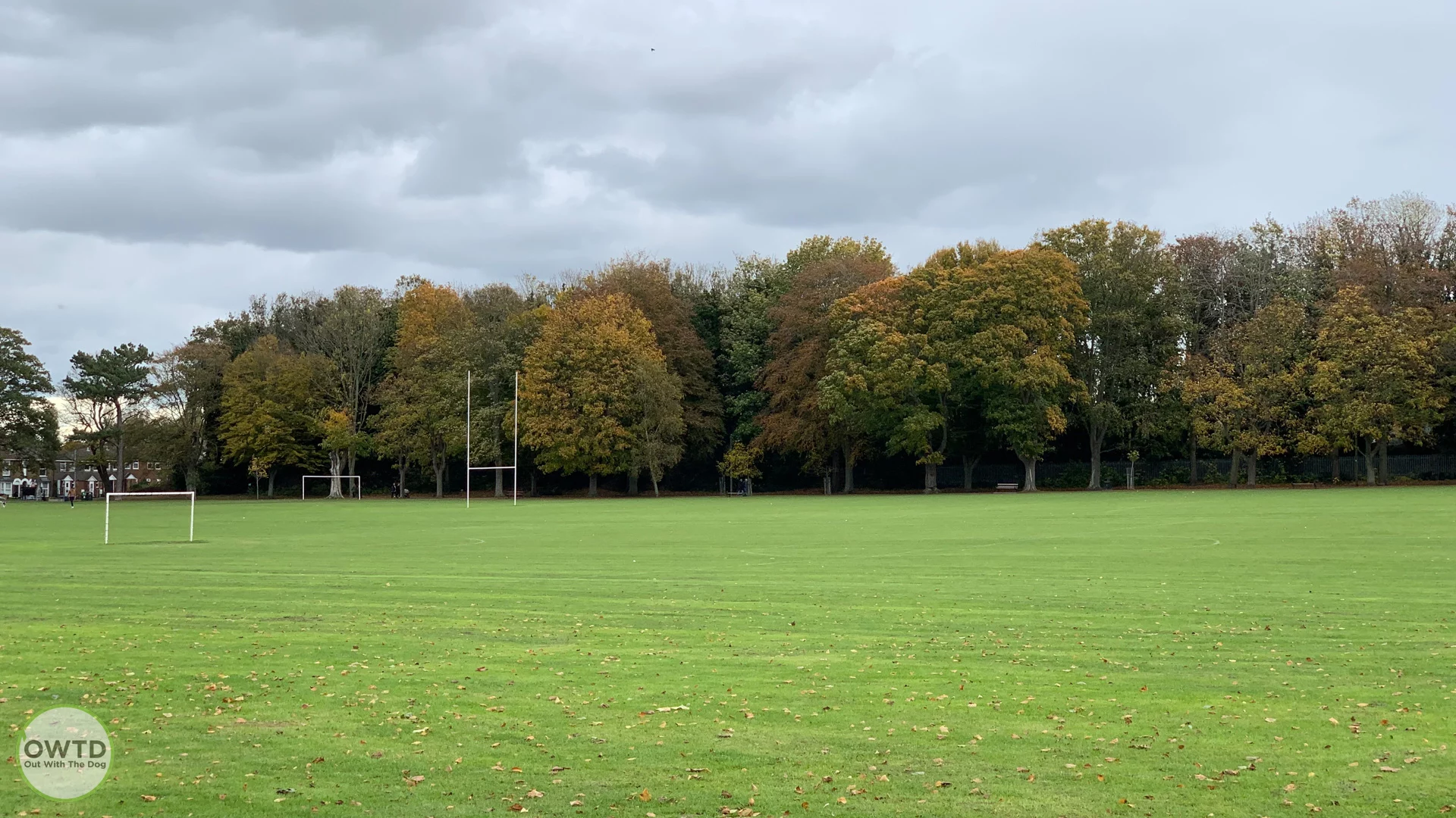 Faversham Recreaction Ground Kent