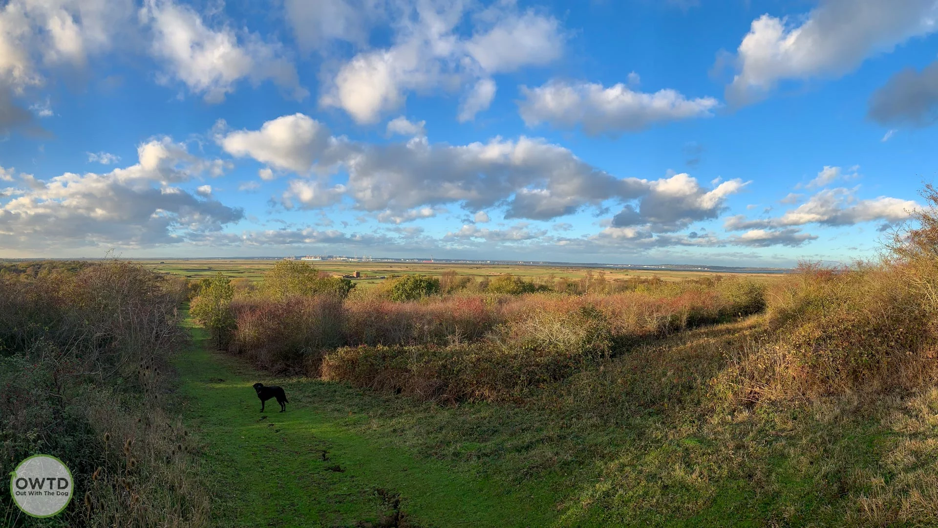 Forge Common High Halstow