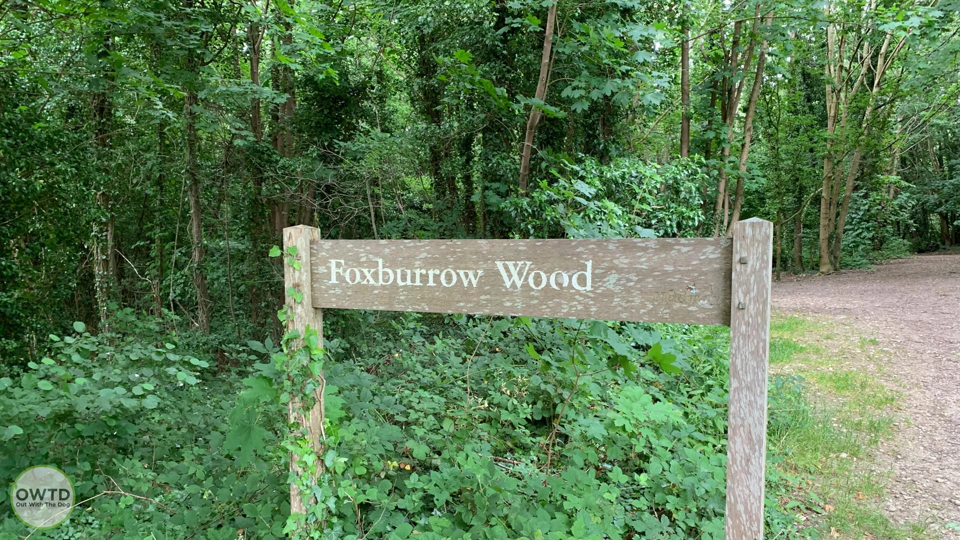 Foxburrow Wood
