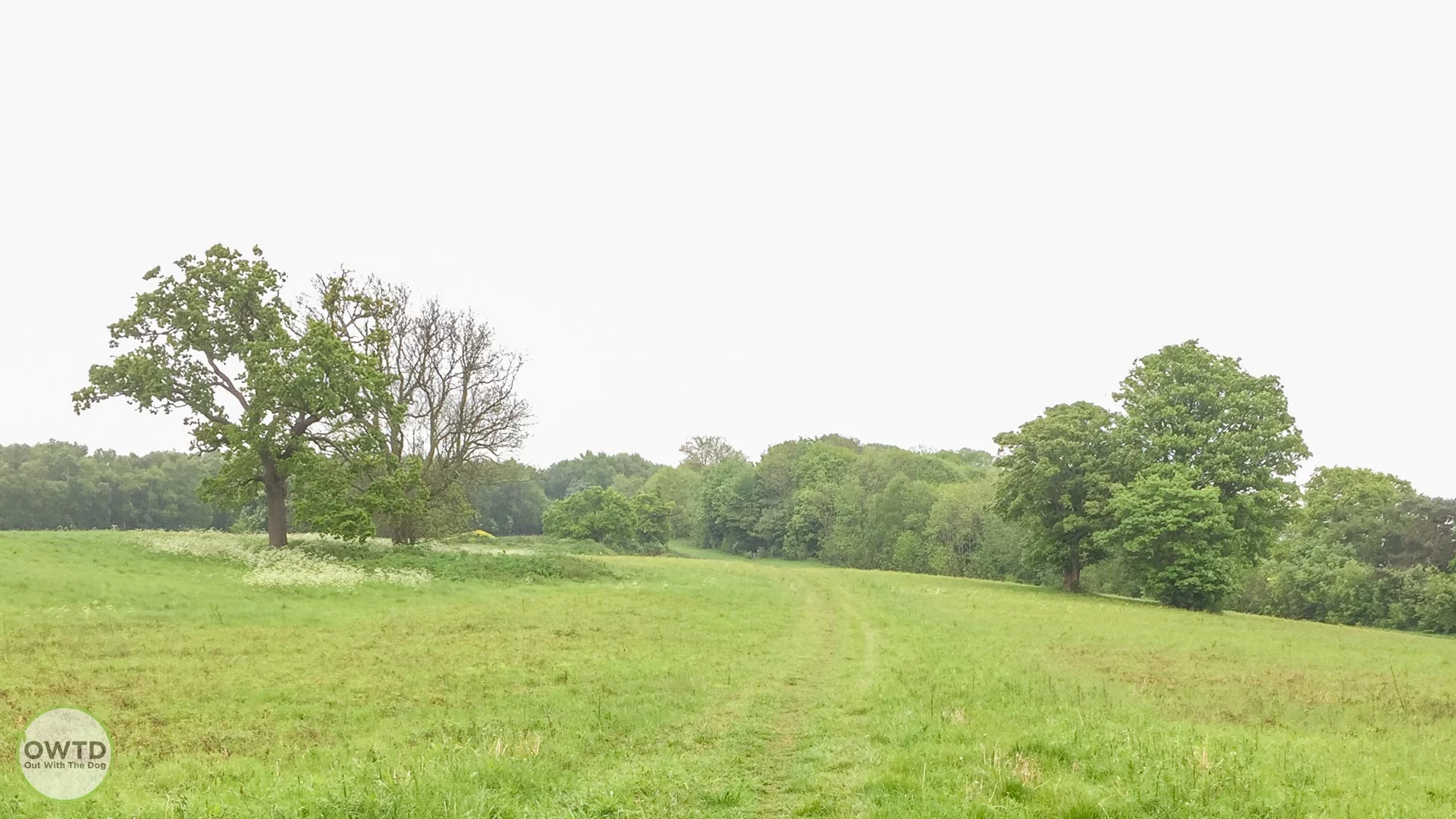 Greatpark Wood