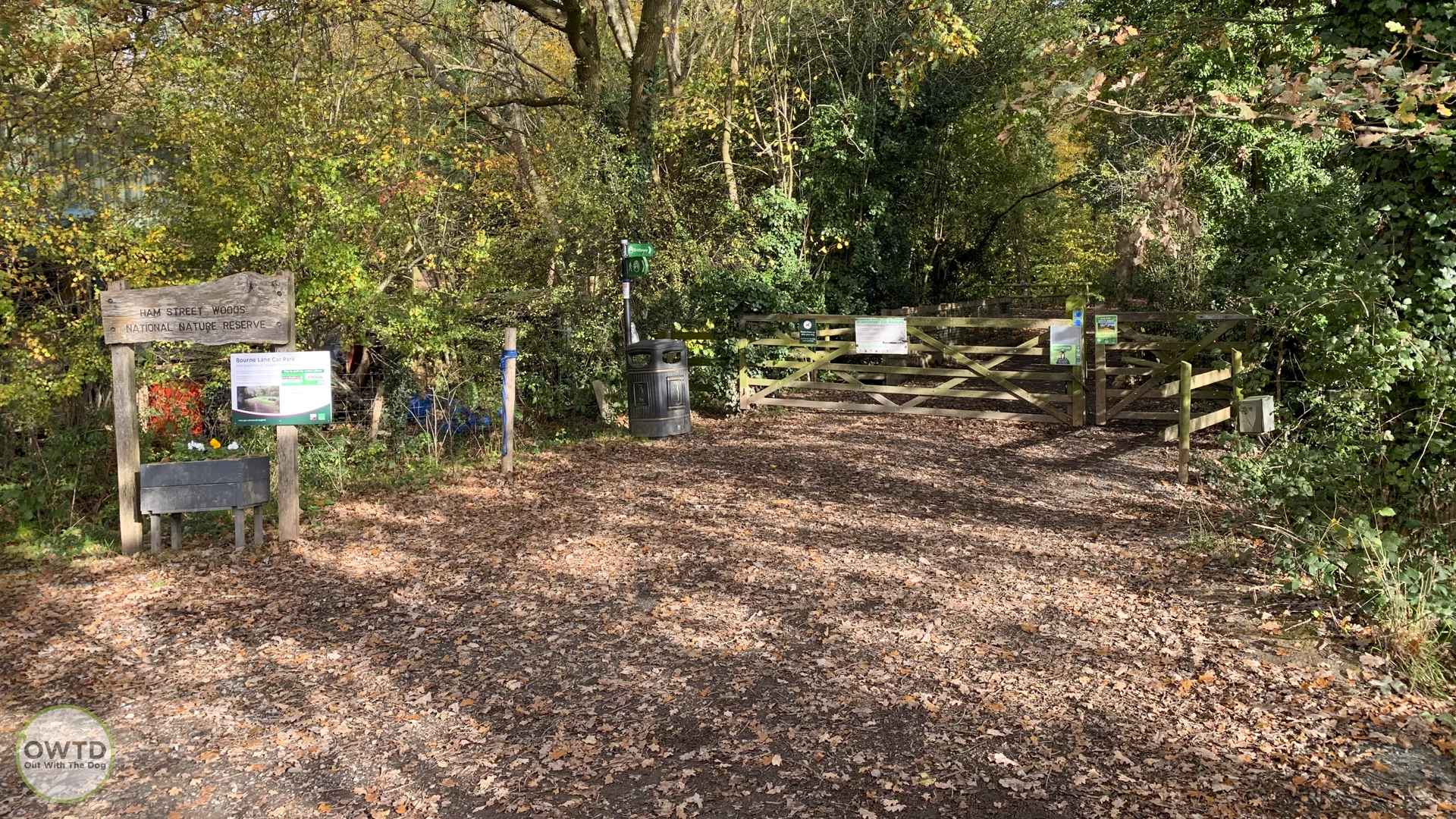 Ham Street Wood National nature Reserve Ashford Kent