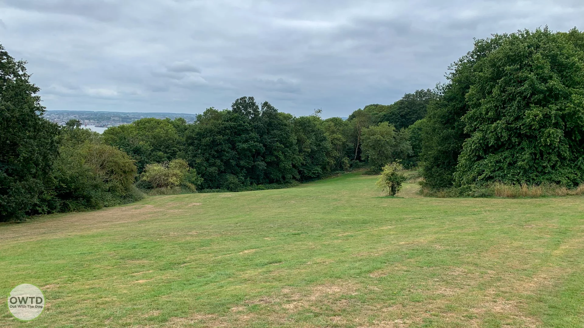 Hoo Common