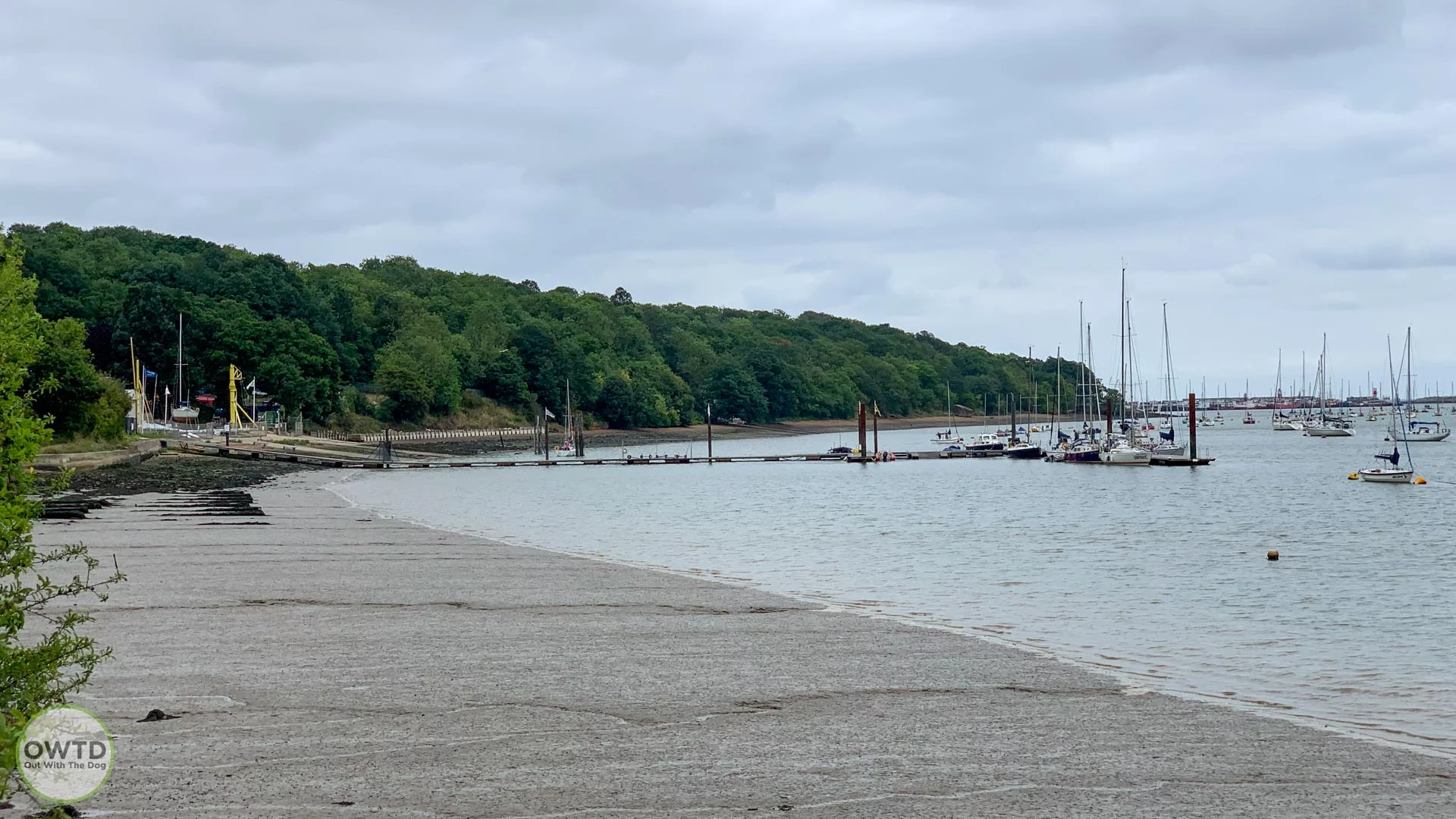Hoo Peninsula Trail view