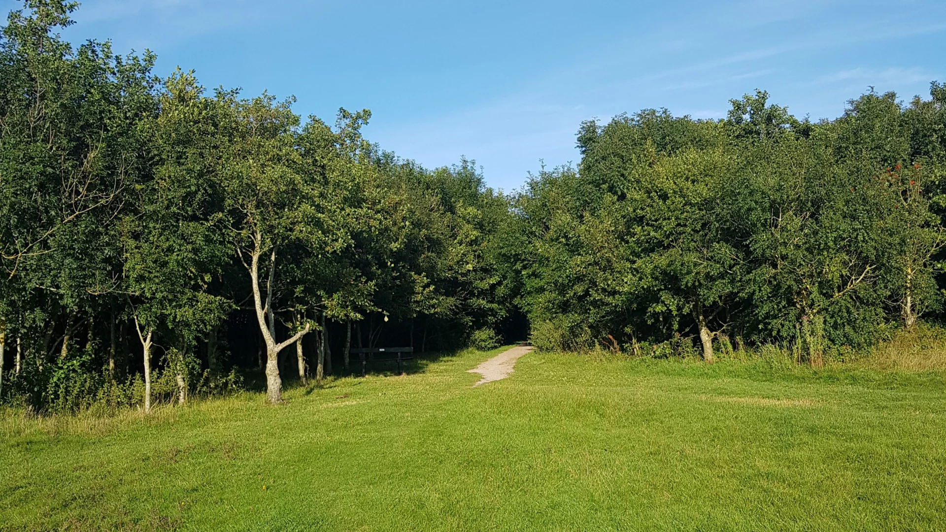How Tun Woods Barrow In Furness