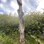 Ashford Community Woodland wooden sculpture