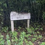 Ashford Community Woodland Dragon Fly Walk sign
