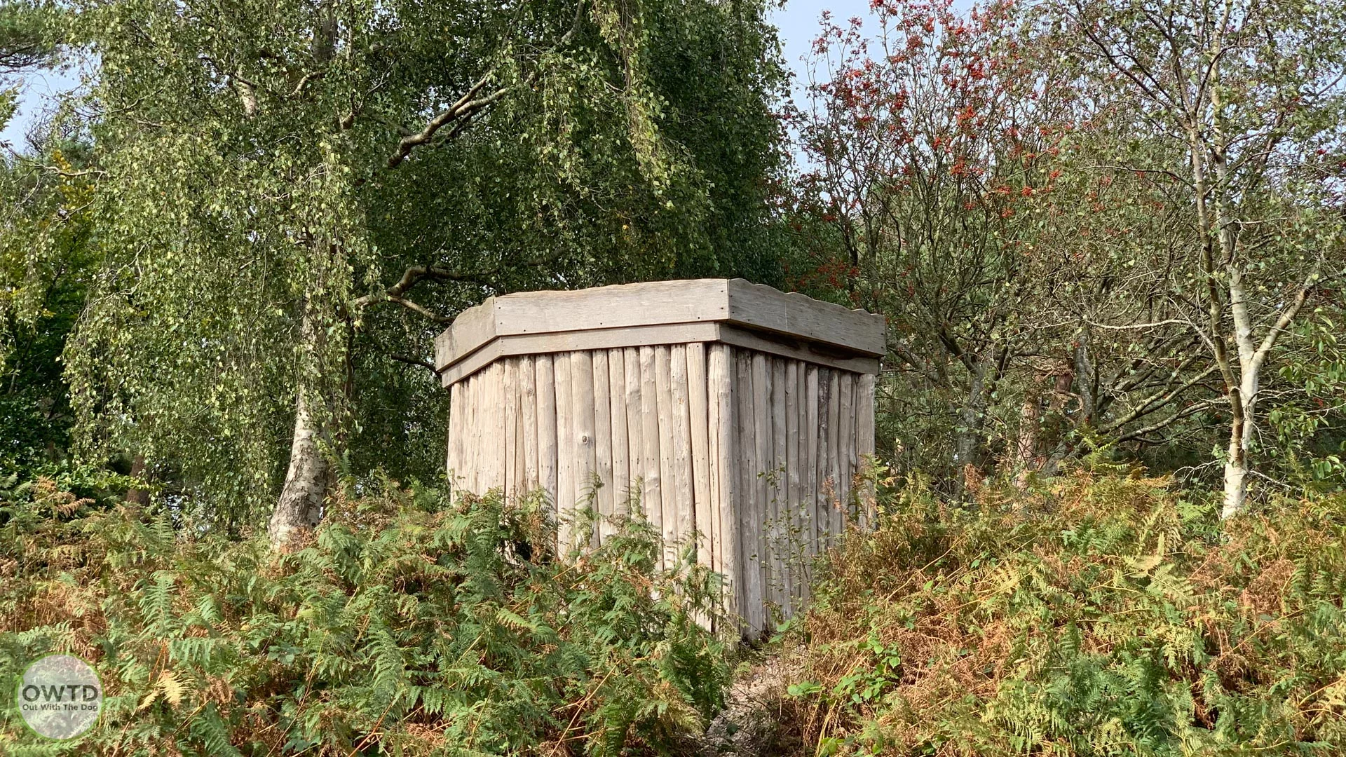 Perry Wood viewing platform amongst the trees
