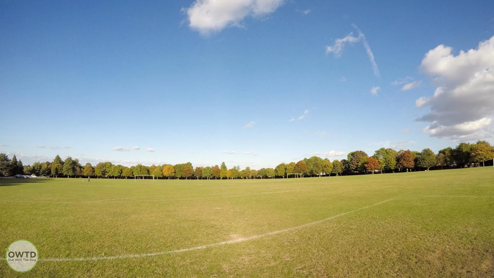 Kings Frith Playing Fields