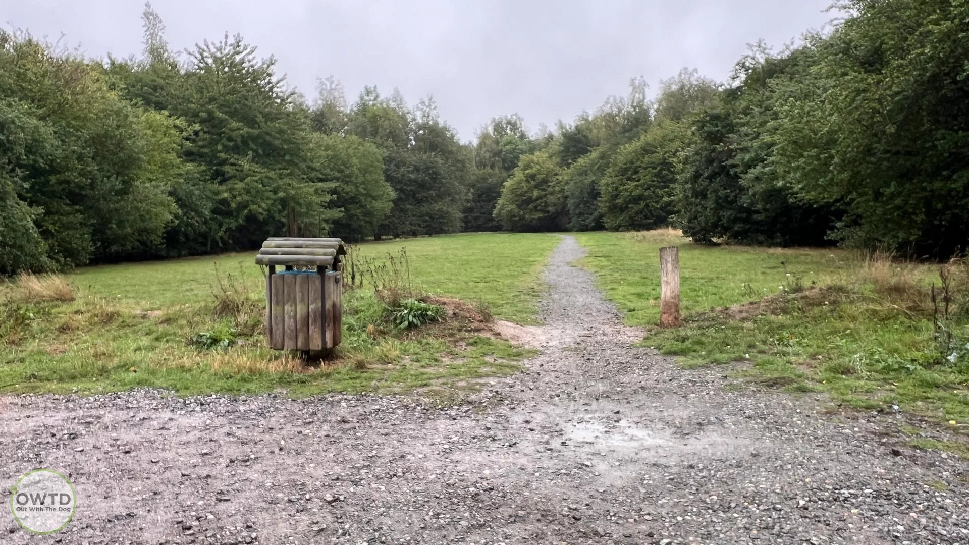 Kingsborough Manor Community Woodland