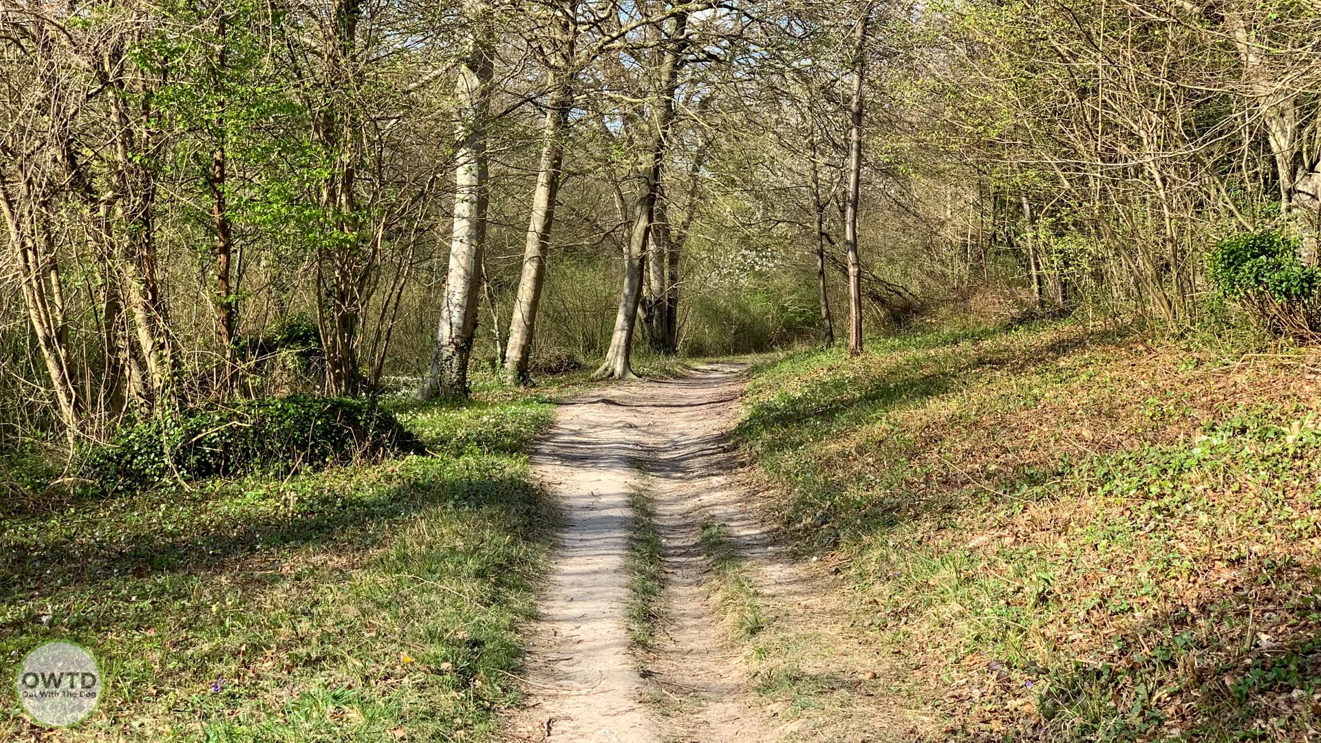 Unsurfaced pathway down through Larkey Valley Wood