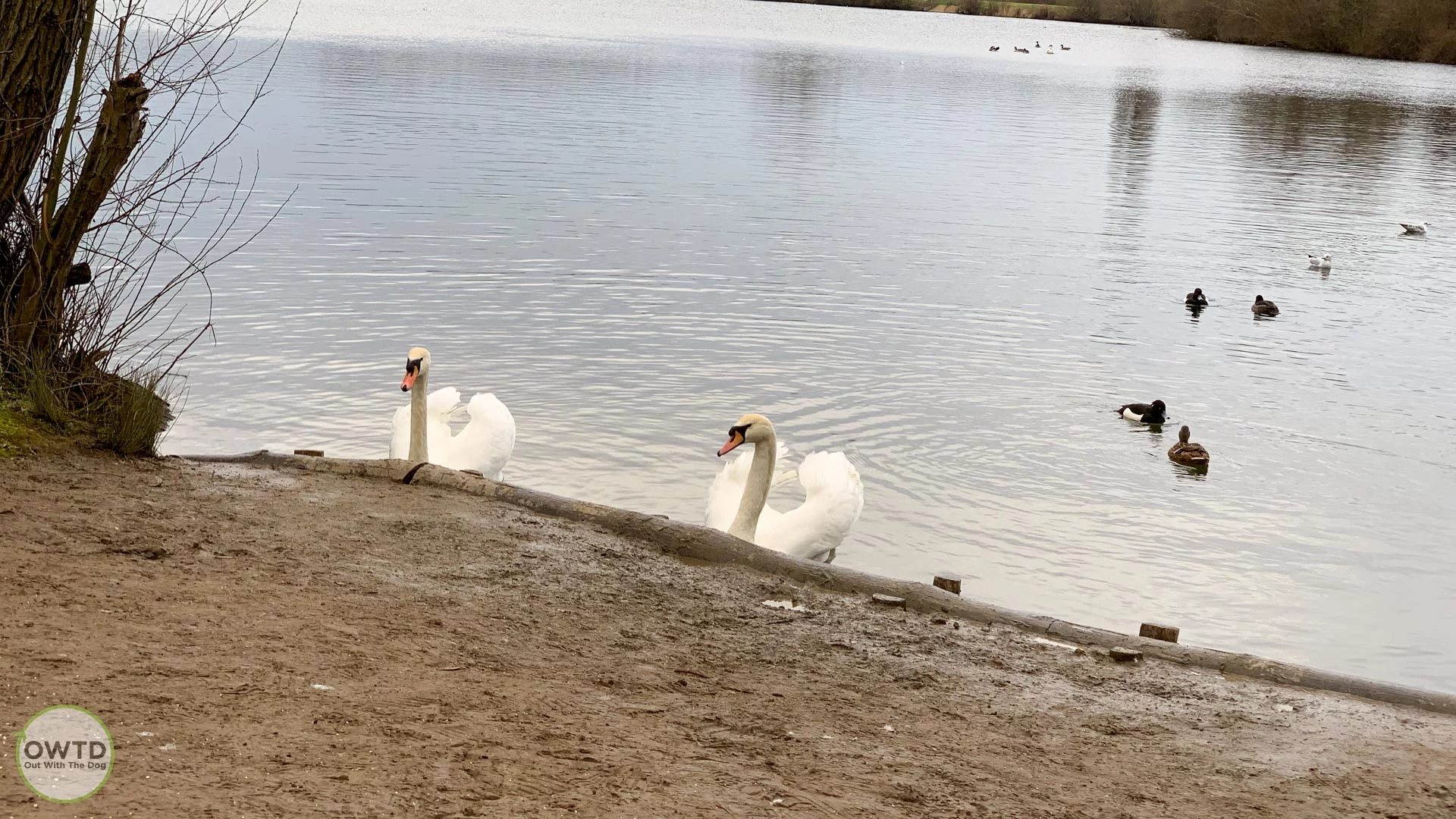 Leybourne Lakes Country Park