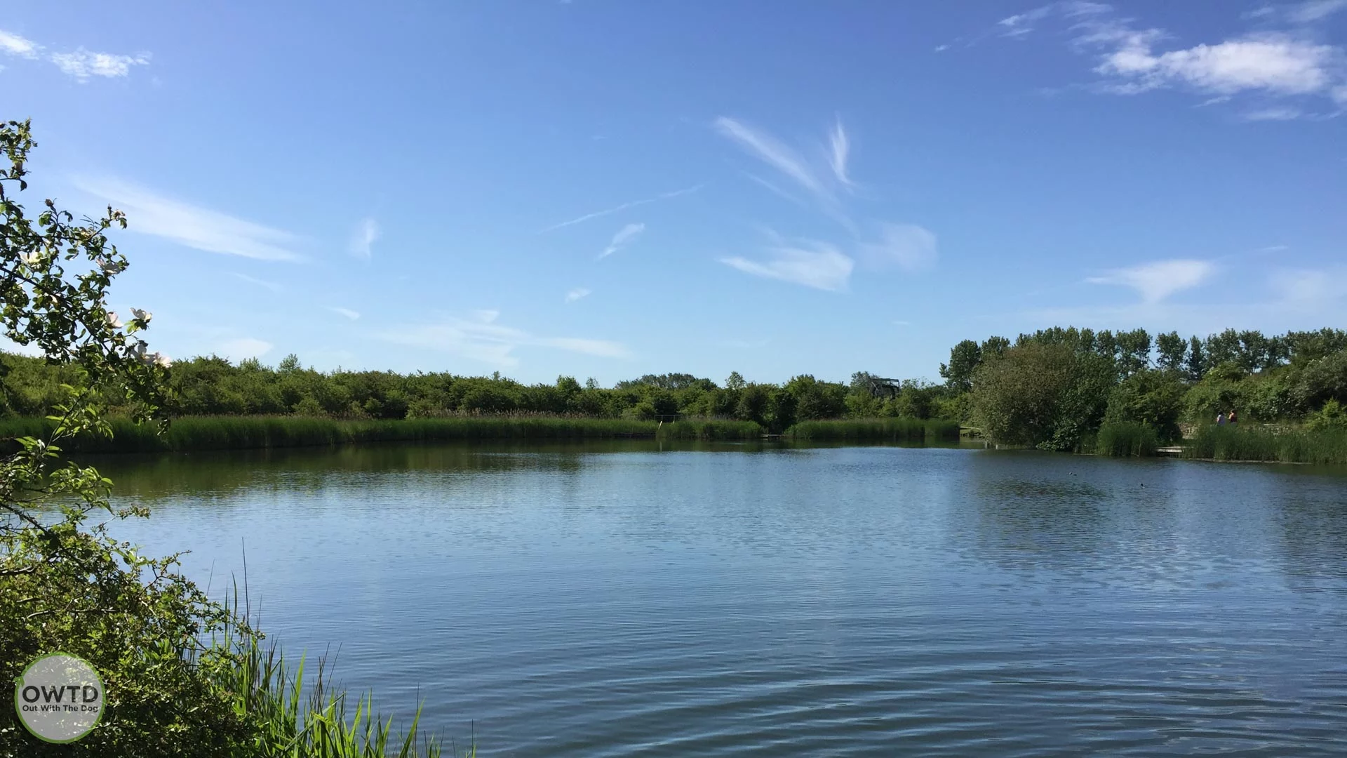 Milton Creek Country Park