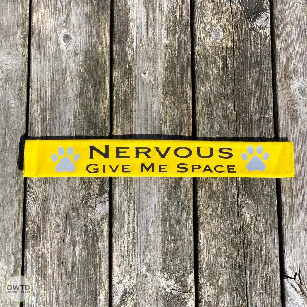 Nervous Give Me Space Lead Cover
