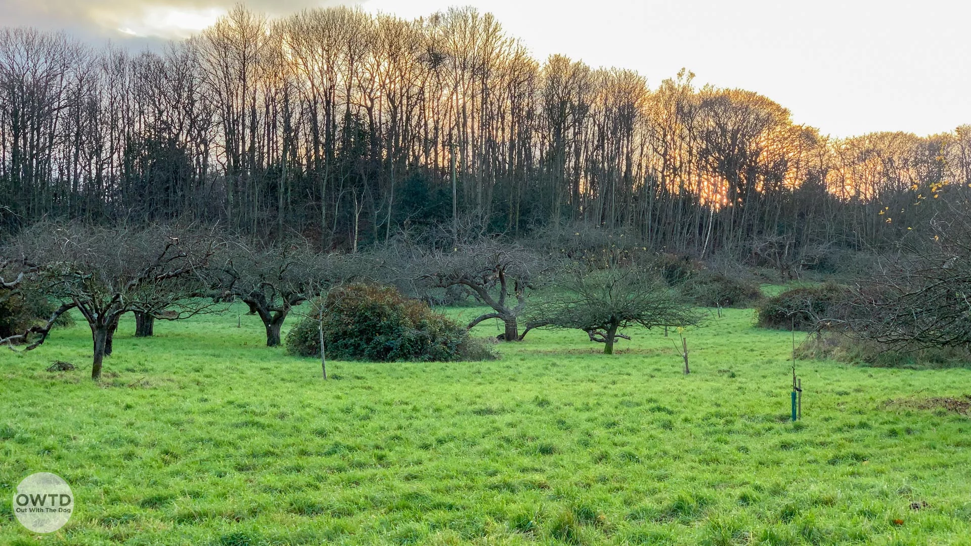 No Man's Community Orchard