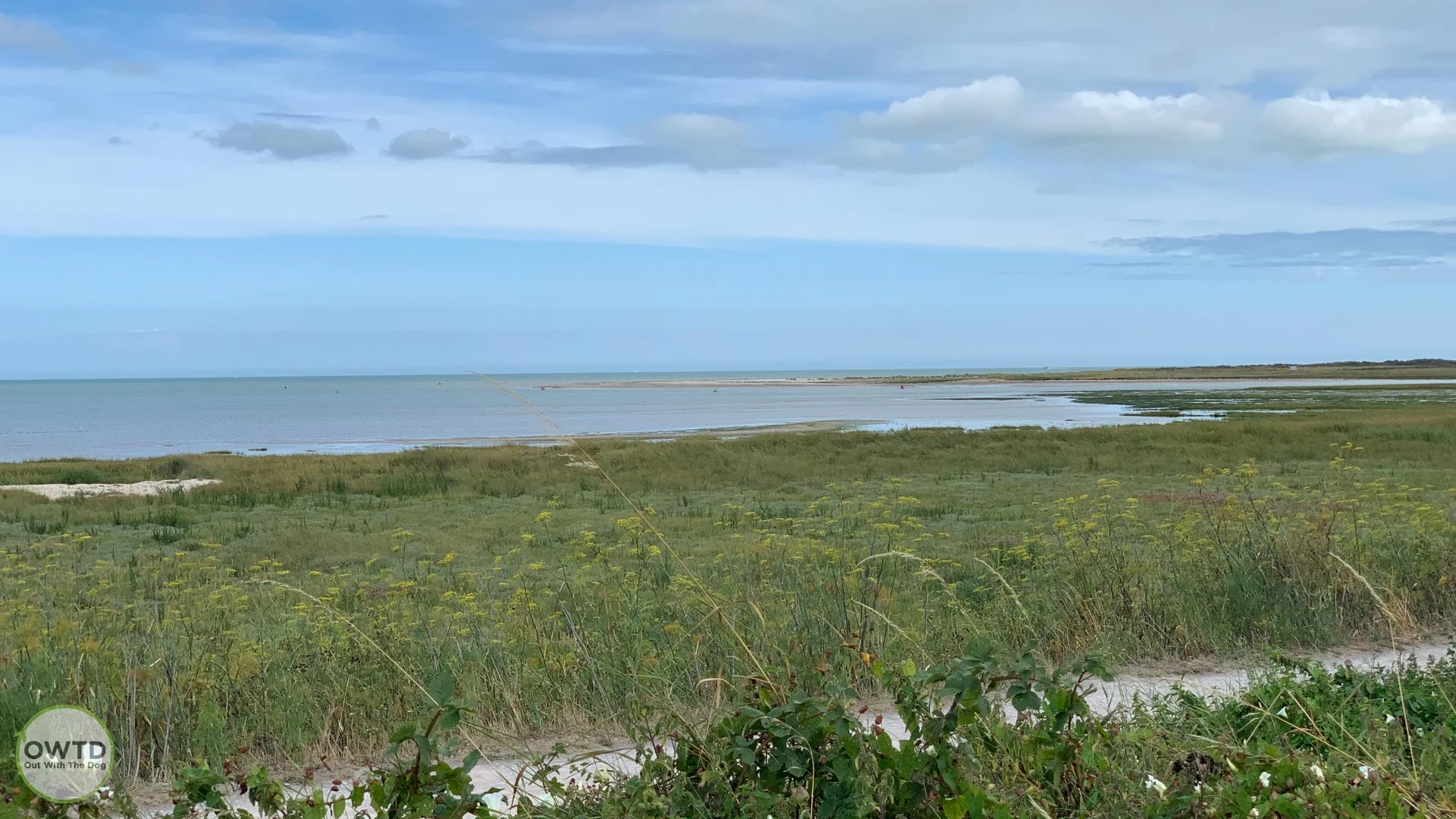 Pegwell Bay Country Park