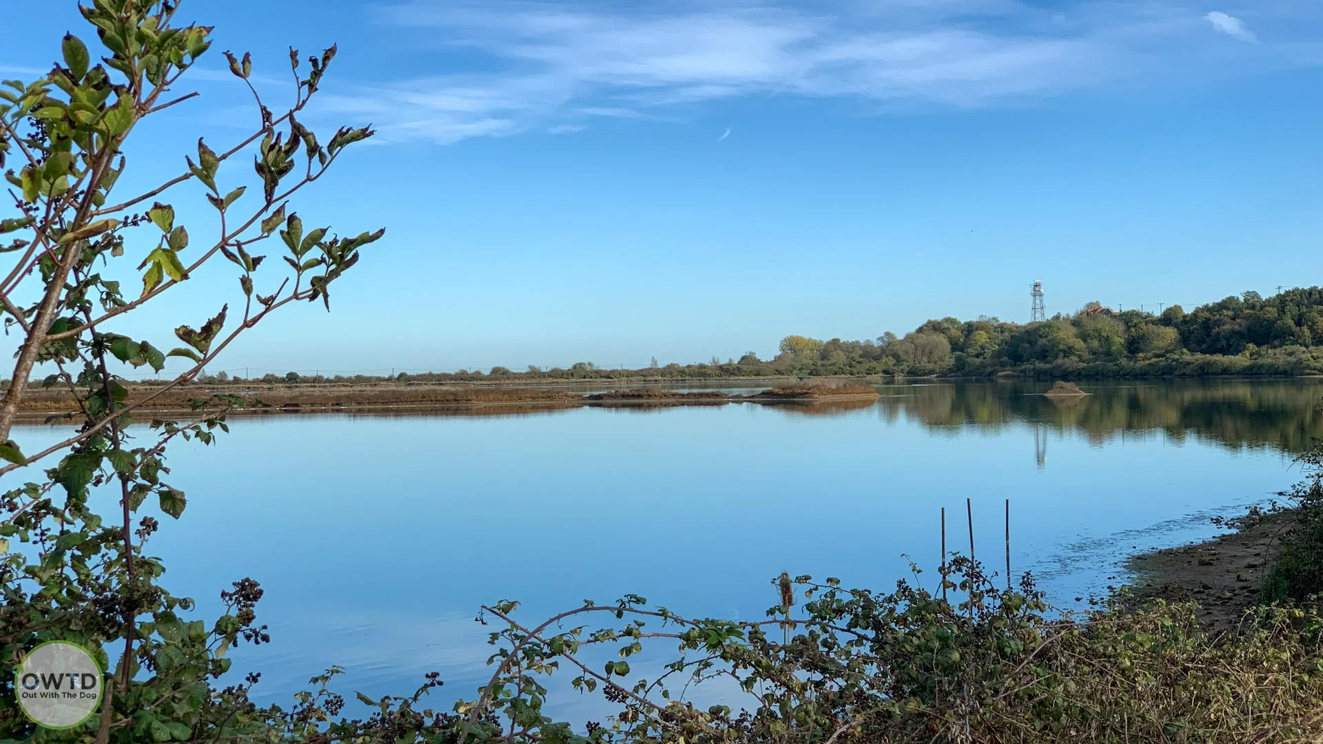 RSPB Cliffe Pools