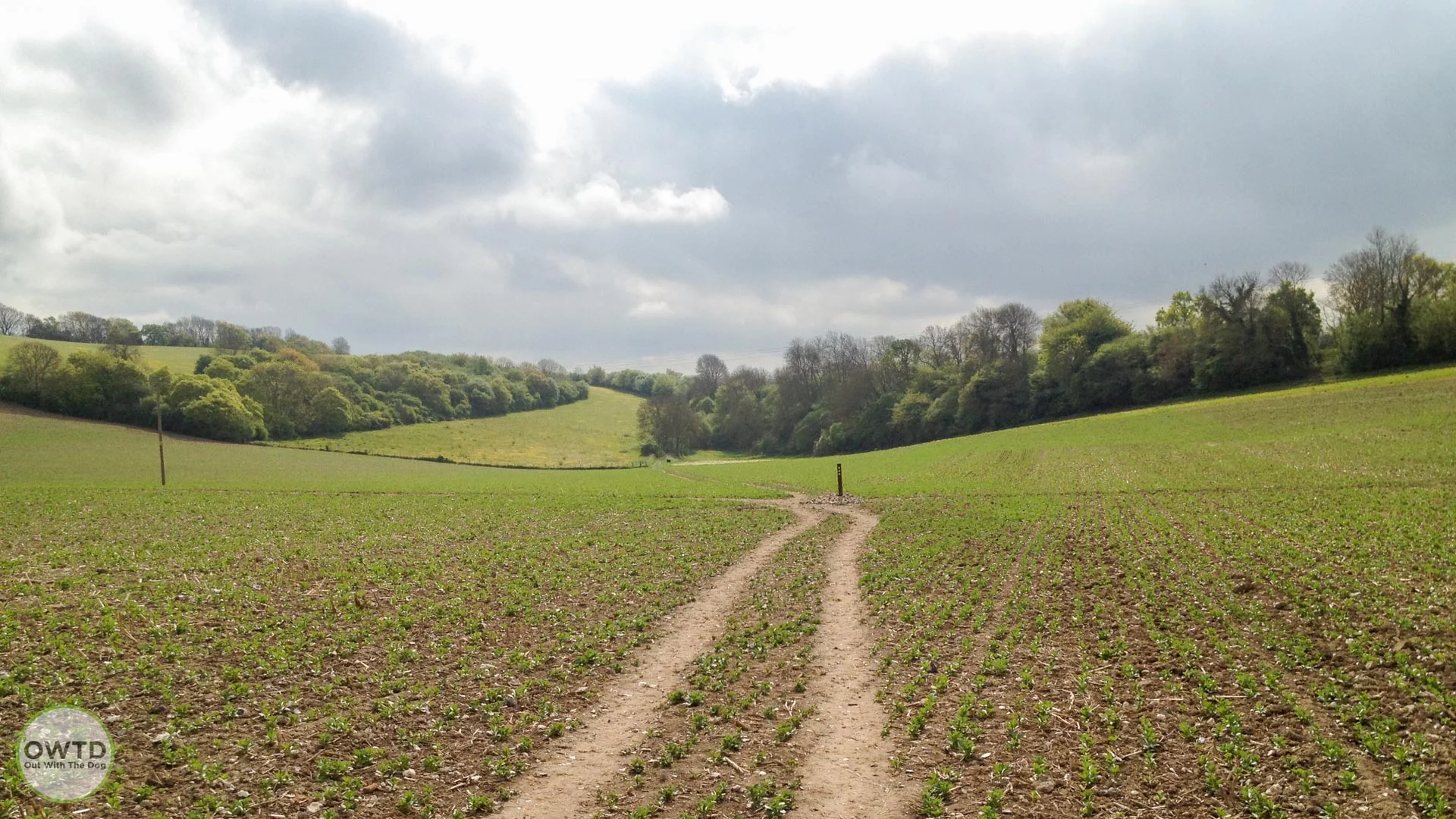 Ranscombe Farm Reserve