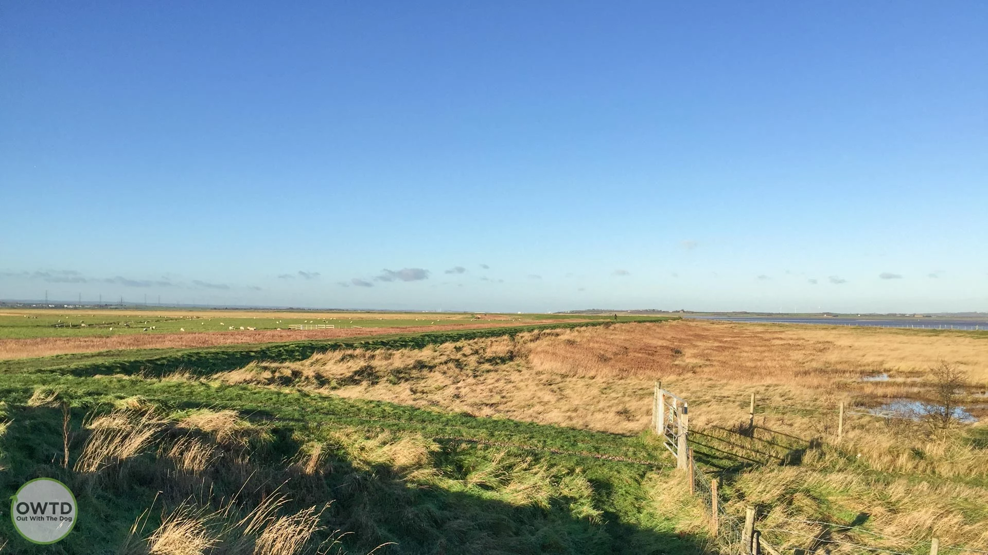 South Swale Nature Reserve