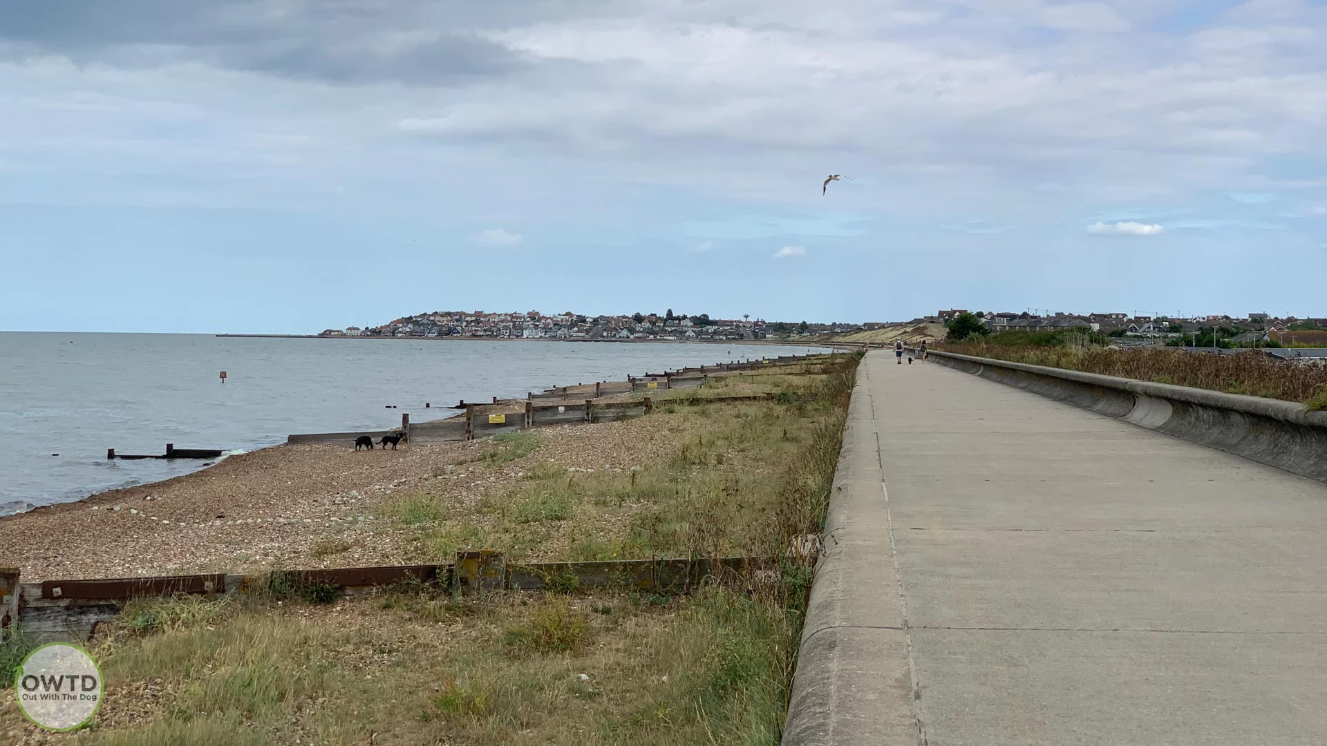 View of Swalecliffe Beach