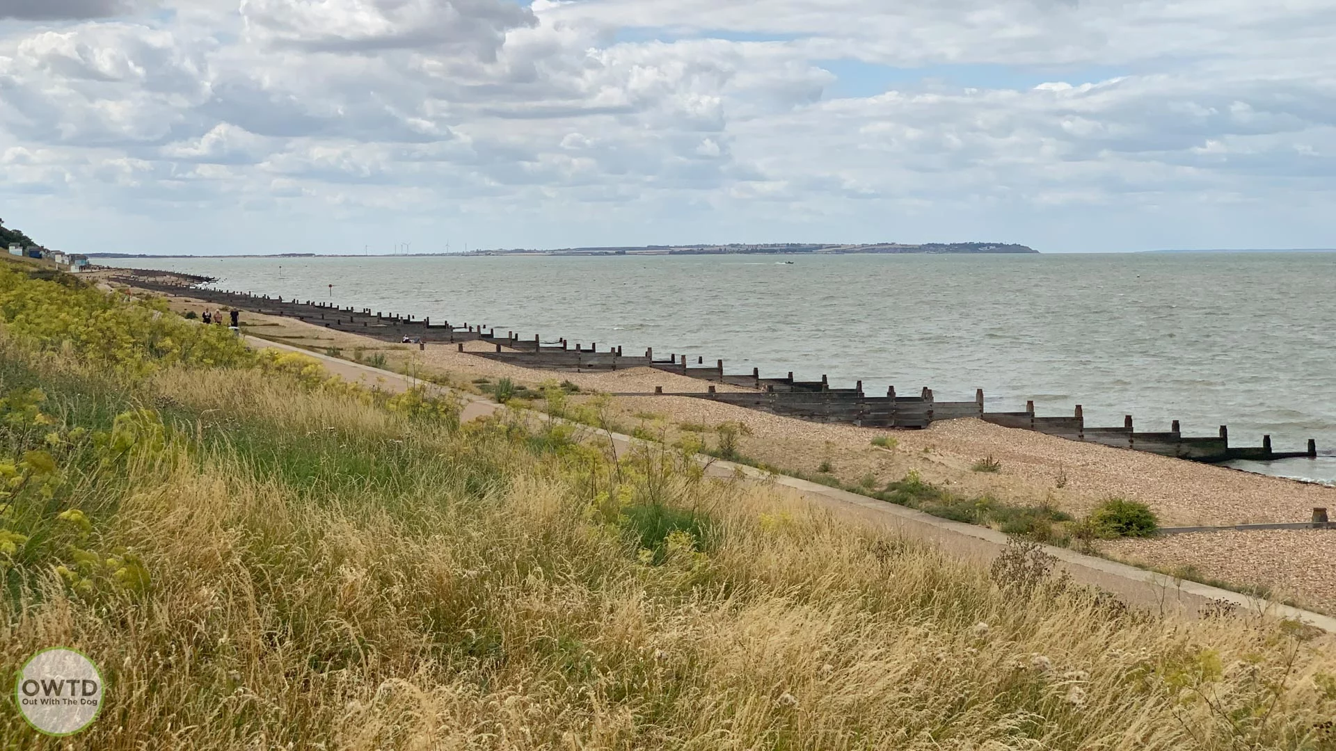 Dog Restrictions at Tankerton slopes