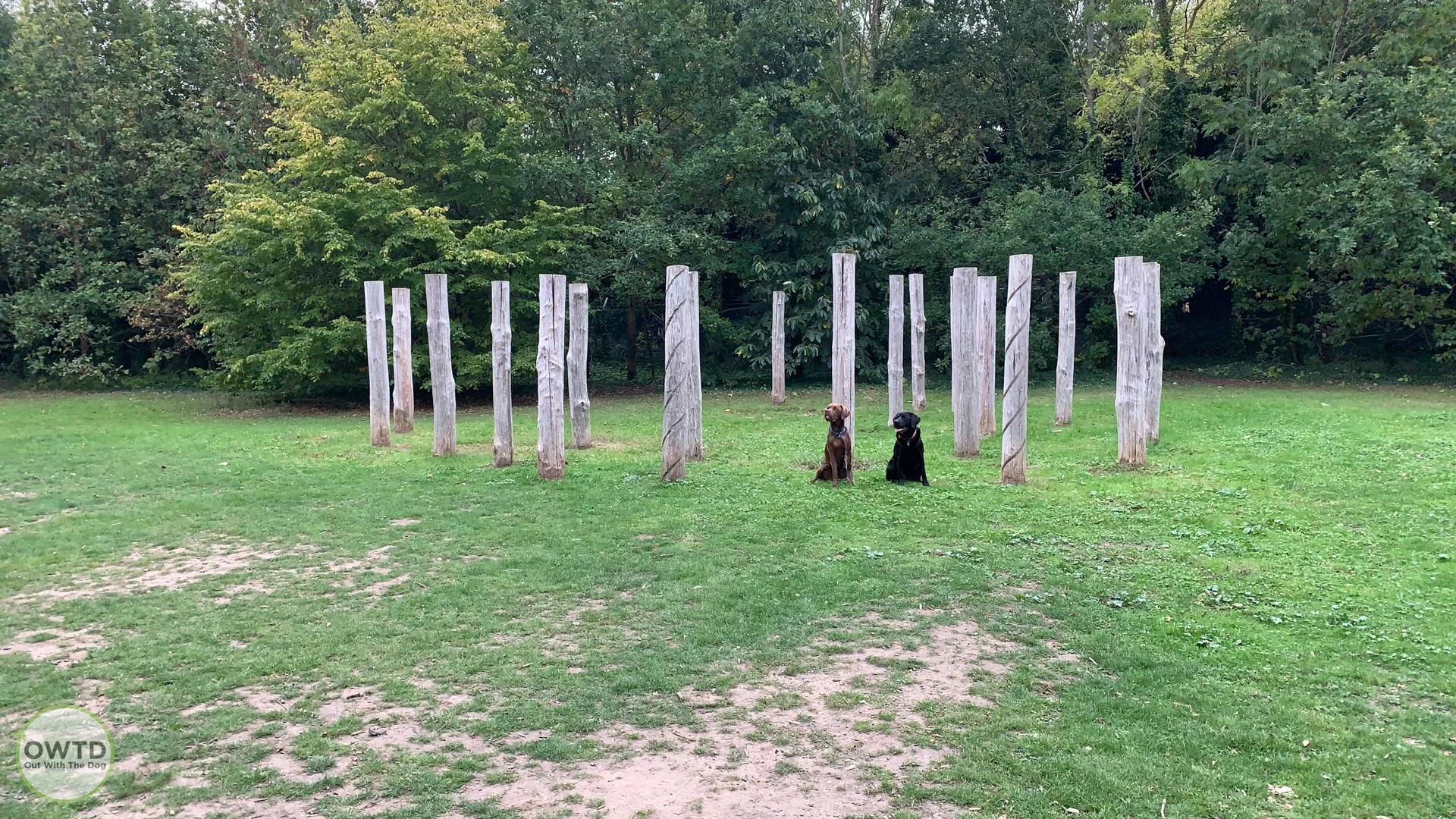 The Meads Community Woodlands