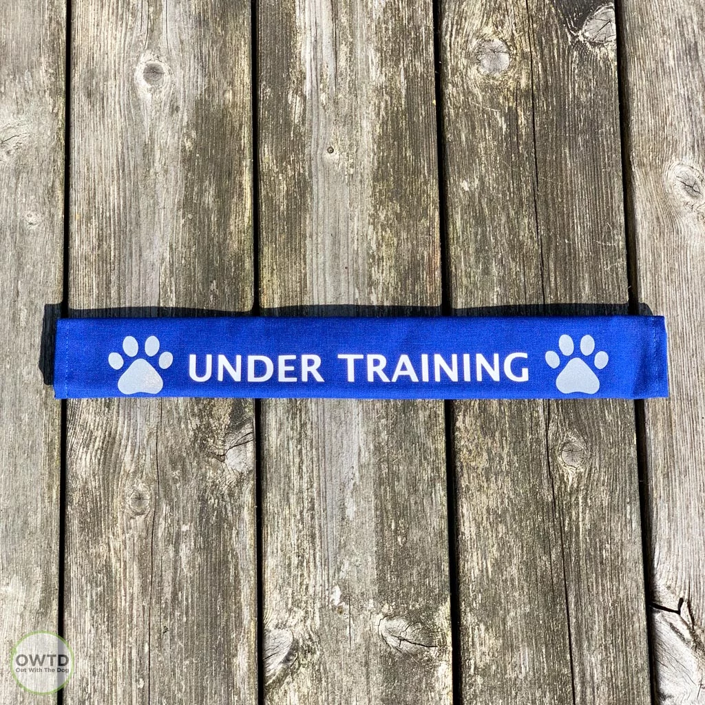 Under Training Lead Cover