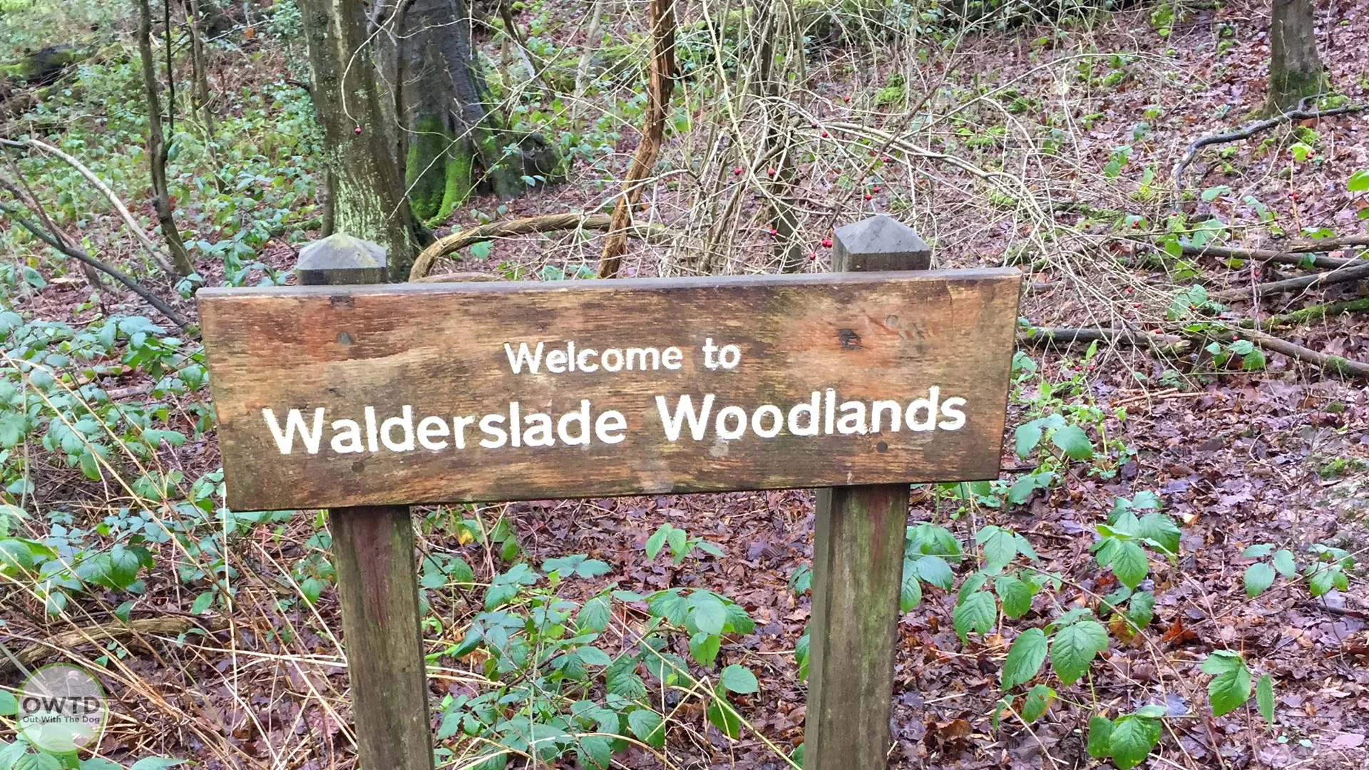 Welcome to Walderslade Woods sign