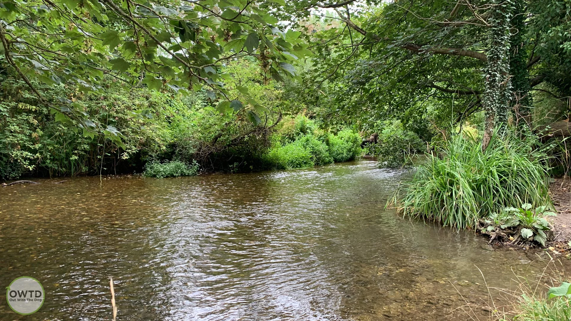 Westminster Fields Horton Kirby