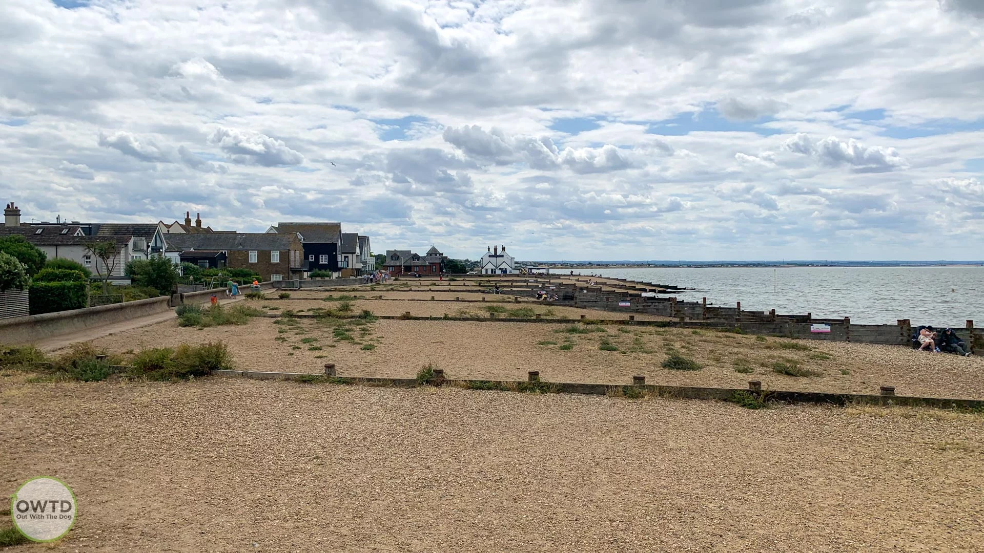 Dog friendly Whitstable Beach