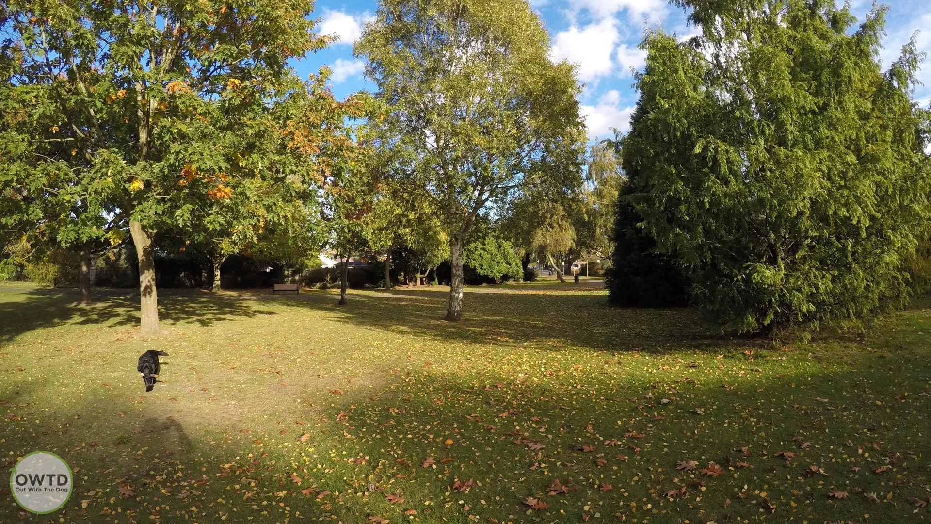 Wigmore Park