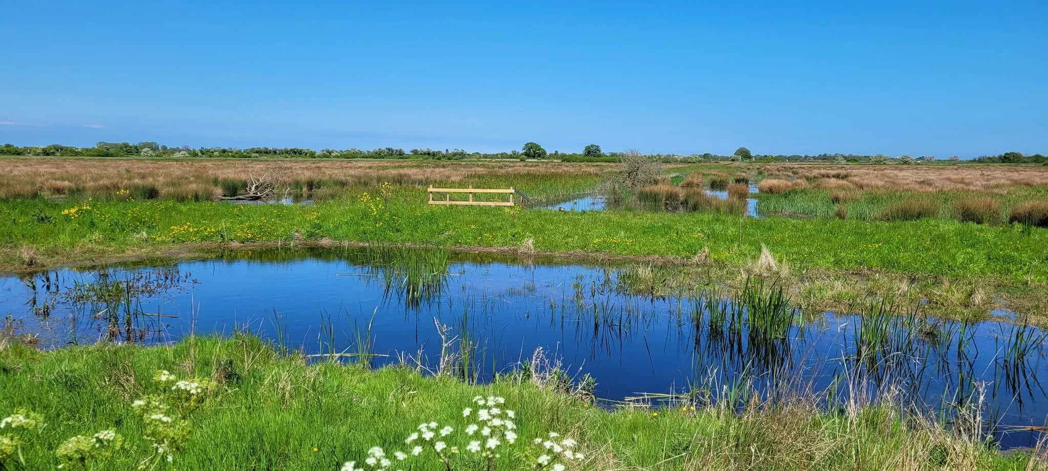 Worth Nature Reserve